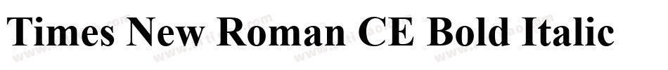 Times New Roman CE Bold Italic字体转换